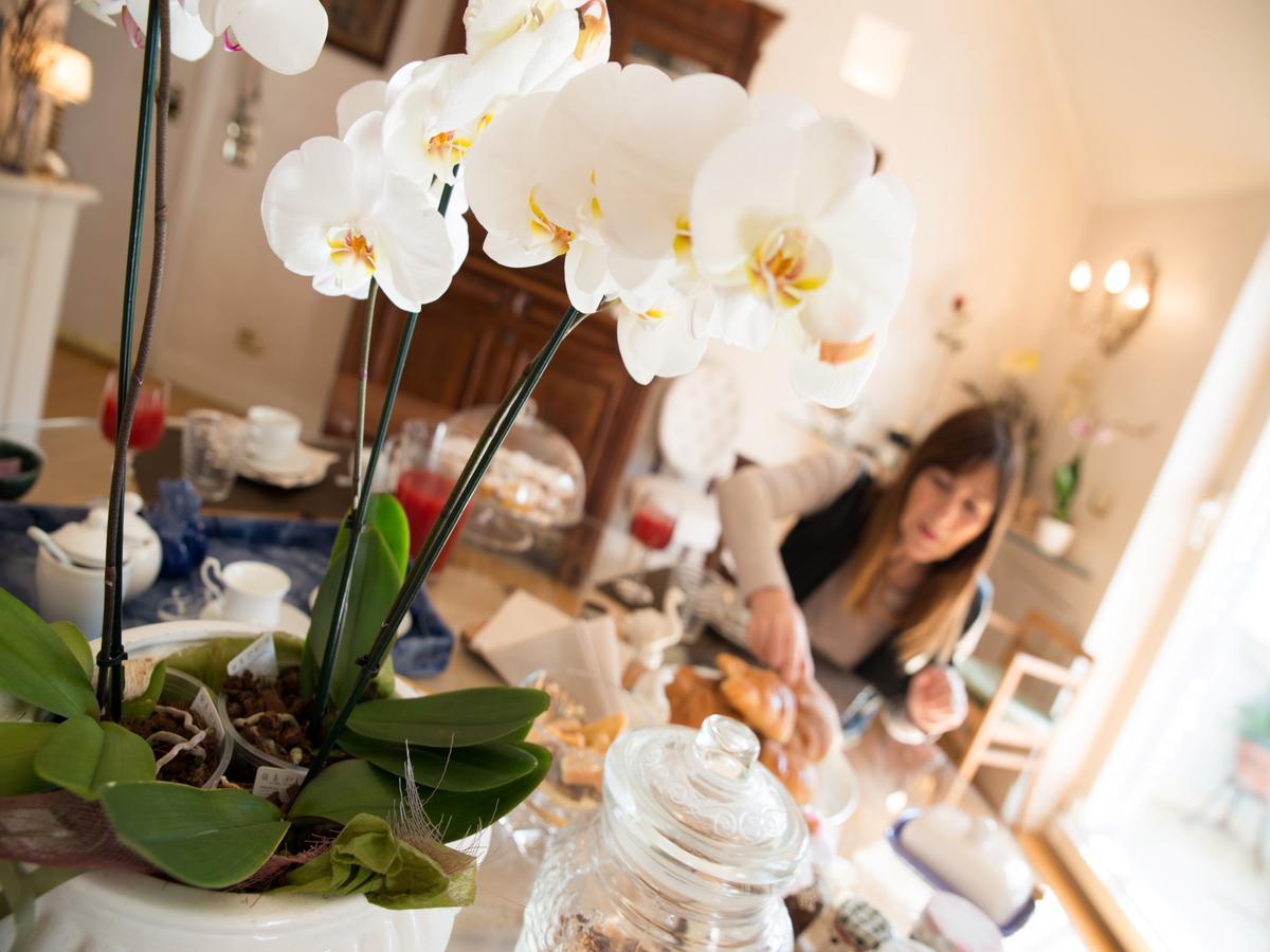 Casa Malena Bed and Breakfast Ascoli Piceno Buitenkant foto